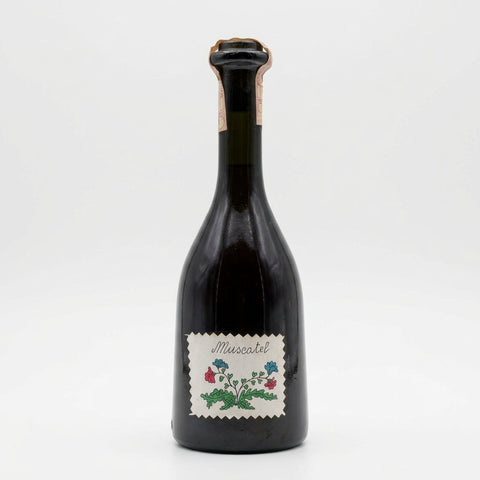 Muscatel Castiglione Tinella Icardi 1990 – bouteille